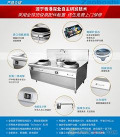 價(jià)格優(yōu)惠 商用電磁雙頭小炒爐 銷售浙江一帶 大功率高效率