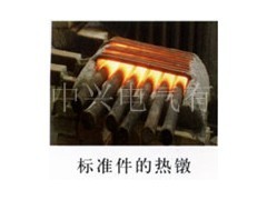 供應標準件透熱設備專用的透熱爐 - 工業(yè)電爐 - 電熱設備 - 電工電氣 - 供應 - 切它網(wǎng)(QieTa.com)